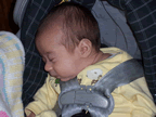 A quick nap in my stroller (100kb)