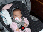 A pacifier and my stroller - what could be better? (102kb)